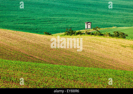 Ländliche Europa Hintergrund - mährischen Landschaft mit Turm-Hütte auf dem Sunset Jagd. Mähren, Tschechien Stockfoto