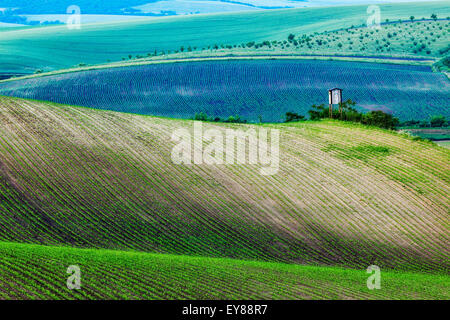 Ländliche Europa Hintergrund - mährischen Landschaft mit Turm-Hütte auf dem Sunset Jagd. Mähren, Tschechien Stockfoto