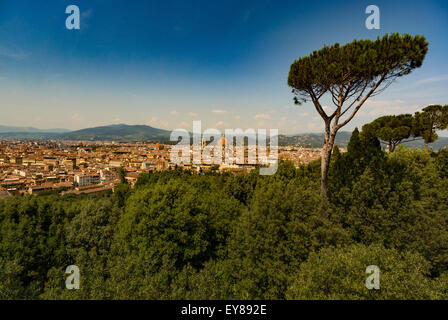 Panoramablick auf Florenz. Von den Boboli-Gärten aus gesehen, eine Zirbe im Vordergrund. Italien Stockfoto