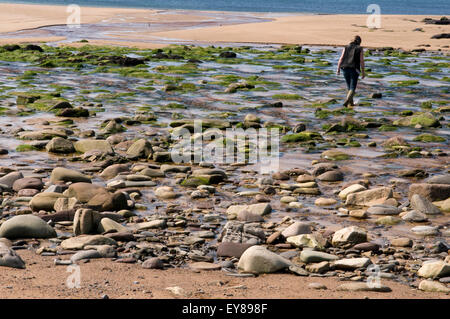 Frau allein an einem steinigen Strand spazieren Stockfoto