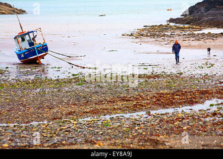 Malerischer Effekt von Mensch, Hund und Boot am Strand von Abercastle oder Abercastell im Pembrokeshire Coast National Park, Wales, Großbritannien im Mai Stockfoto