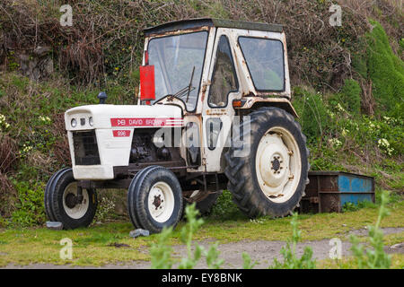 David Brown 996 Traktor in Abercastle oder Abercastell im Pembrokeshire Coast National Park, Wales, Großbritannien im Mai Stockfoto