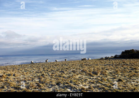 Ditchling Beacon an einem kalten und Schnee verstreut Wintertag auf der South Downs Way, Sussex, England, UK. Stockfoto