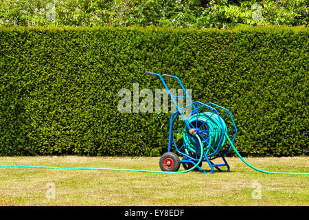 Blaue heavy-Duty Garten-Schlauchtrommel, Trolley für Gartenbewässerung auf ausgetrocknet, Rasen, die von Dürre betroffen Stockfoto