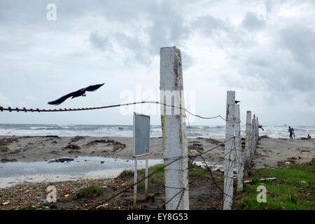 Der Strand von Fort Kochi Stockfoto