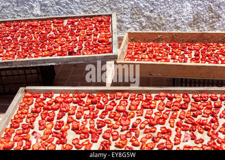Traditionelles sonnentrocknen von roten Tomaten in Holzrahmen auf einer Terrasse im Dorf Oia. Lokale Nahrungsmittelproduktion. Santorin, Griechenland Stockfoto
