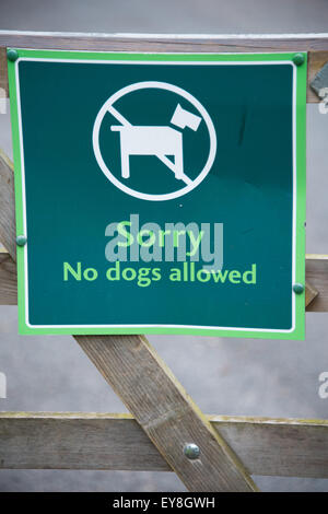 Leider keine Hunde erlaubt Zeichen auf einem Zaun grün Stockfoto