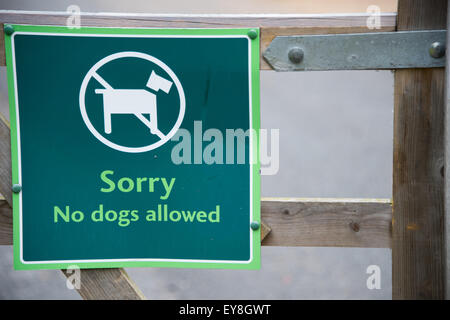 Leider keine Hunde erlaubt Zeichen grün Stockfoto