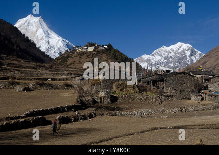 Landwirtschaftlichen Flächen unterhalb der Ansicht des Mt. Manaslu aus dem Dorf Lho in das Nubri-Tal in Nepal Stockfoto