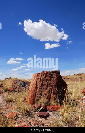 Versteinertes Holz Log gegen blauen Himmel und Wolken. Versteinerte Forest National Park, Arizona, USA Stockfoto