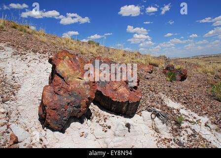 Versteinertes Holz meldet sich mit blauem Himmel und Wolken Hintergrund. Versteinerte Forest National Park, Arizona, USA Stockfoto