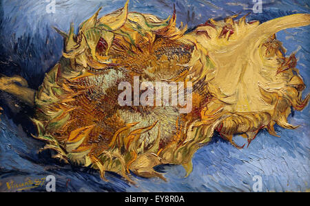 Vincent Van Gogh (1853-1890). Sonnenblumen, 1887. Öl auf Leinwand. Metropolitan Museum of Art. NY. USA. Stockfoto
