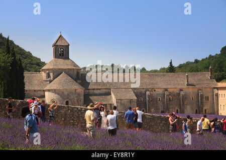 Touristen an der Notre-Dame de Sénanque Abtei Provence Frankreich mit Lavendel in voller Blüte Stockfoto