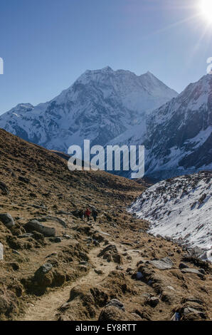 Wanderer auf dem Larke La Pass des Manaslu Circuit trek in Nepal Stockfoto