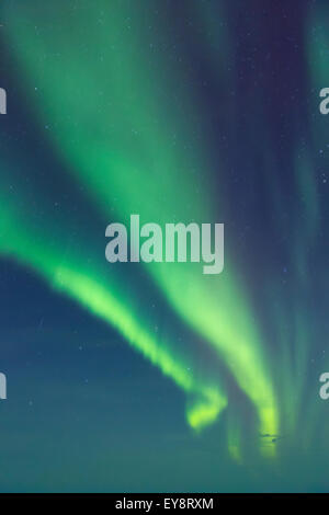 Nordlicht-Tanz bei klarem Himmel über Barrow, Alaska Arktis; Alaska, Vereinigte Staaten von Amerika Stockfoto