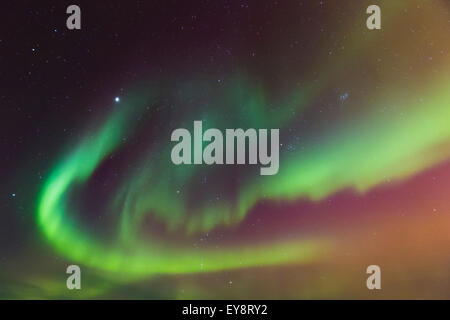 Nordlicht-Tanz bei klarem Himmel über Barrow, Alaska Arktis; Alaska, Vereinigte Staaten von Amerika Stockfoto