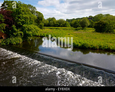 Das Deichvorland Überschwemmungsgebiet des Flusses Trent bei Burton auf Trent Staffordshire England UK Stockfoto