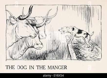 "Der Hund In der Krippe" Krippe Fabel von Aesop (ca. 600). Menschen beneiden andere oft, was sie selbst genießen können. Ein Hund im Heu schlafen würde nicht andere Tiere aus Heu essen lassen. Menschen beneiden andere oft, was sie selbst genießen können. Illustration von Arthur Rackham (1867-1939). Siehe Beschreibung für mehr Informationen. Stockfoto