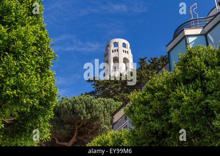 Coit Tower in San Francisco's Telegraph Hill Gegend ist eine beliebte Sehenswürdigkeit, die aus der ganzen Stadt sehen kann, San Francisco, Kalifornien Stockfoto