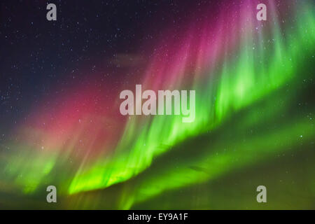 Nordlicht über Barrow, arktischen Alaska, Winter Stockfoto