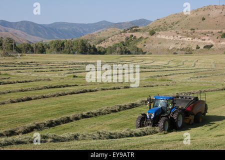 New Holland T7 Traktor mit BB340 großen Quaderballenpresse Ballen Luzerne in einem Fluss unten; Preston, Idaho, Vereinigte Staaten von Amerika Stockfoto