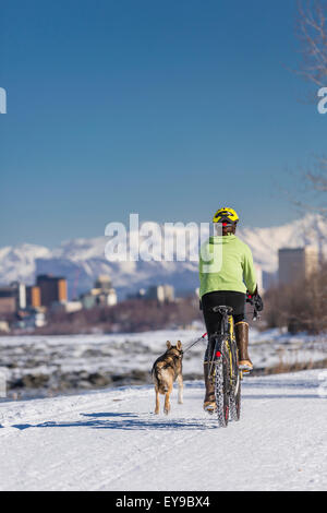 Fahrrad, Husky, Schnee, Frau, Chugach Mountains Stockfoto