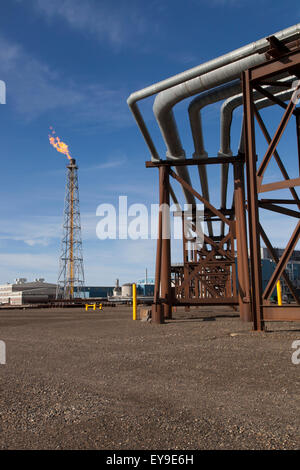 Erhöhte Öl-Pipelines und eine Fackel Turm auf Endicott-Insel in der Prudhoe Bay-Ölfeld, Arktis Alaska North Slope Sommer Stockfoto