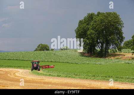 Case IH Traktor mit DC132 Scheibenmäher schneiden Luzerne; Strasburg, Pennsylvania, Vereinigte Staaten von Amerika Stockfoto