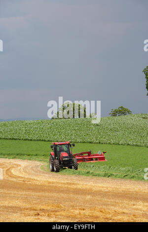 Case IH Traktor mit DC132 Scheibenmäher schneiden Luzerne; Strasburg, Pennsylvania, Vereinigte Staaten von Amerika Stockfoto