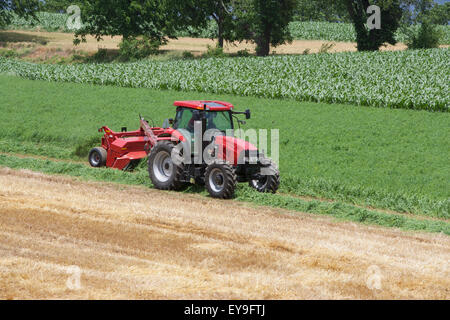 Case IH Traktor mit DC132 Scheibenmäher schneiden Luzerne; Strasburg, Pennsylvania, Vereinigte Staaten von Amerika Stockfoto