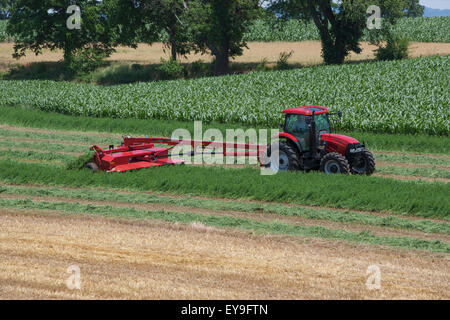 Case IH Traktor mit DC132 Scheibenmäher schneiden Luzerne; Strasburg, Pennsylvania, Vereinigte Staaten von Amerika Stockfoto