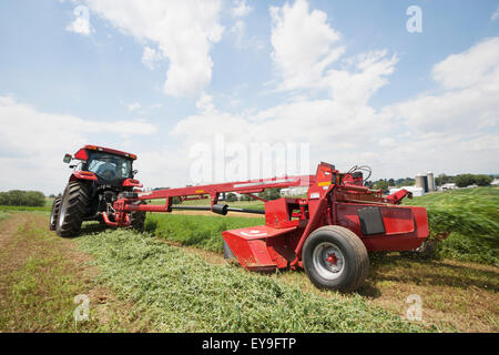 Case IH Traktor mit DC132 Scheibenmäher schneiden Luzerne; Strasburg, Pennsylvania, Vereinigte Staaten von Amerika Stockfoto