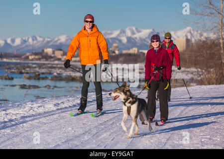 Husky, Anchorage, Familie, Langlauf-Bericht Stockfoto