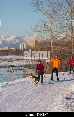 Husky, Anchorage, Familie, Langlauf-Bericht Stockfoto