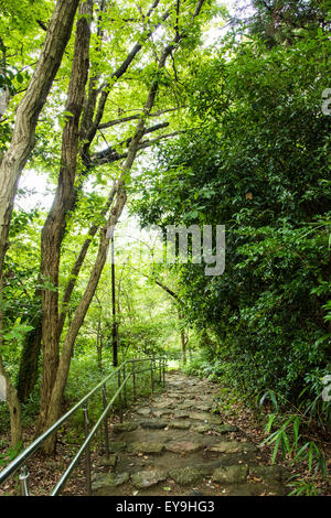 Hamamatsu Schlosspark, Stadt Hamamatsu, Shizuoka Präfektur, Japan Stockfoto