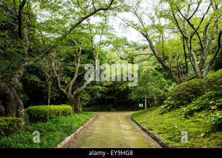 Hamamatsu Schlosspark, Stadt Hamamatsu, Shizuoka Präfektur, Japan Stockfoto