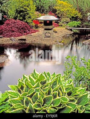 Ardcarrig Gärten, Co. Galway, Irland; Japanischer Garten Stockfoto