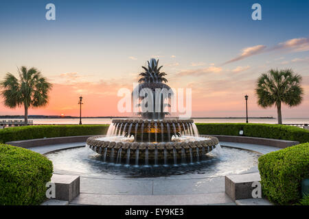 Charleston, South Carolina, USA die Waterfront Park-Ananas-Brunnen. Stockfoto