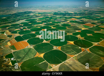 Bauernhof, Felder, Landwirtschaft, Greeley, Colorado, USA, USA, Amerika