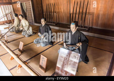 Arai Sekisho, Kosai Stadt Shizuoka Präfektur, Japan Stockfoto