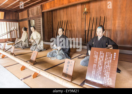 Arai Sekisho, Kosai Stadt Shizuoka Präfektur, Japan Stockfoto