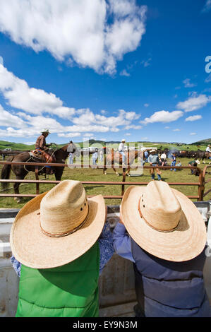 Chuck, Ag, Landwirtschaft, Bauernhof, Landwirtschaft, Ranch Stockfoto