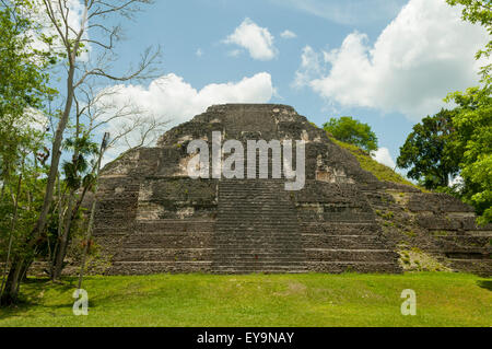 Mundo Perdido, Tikal, Guatemala Stockfoto