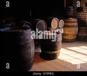 Guinness Storehouse, Dublin, Co. Dublin, Irland Stockfoto