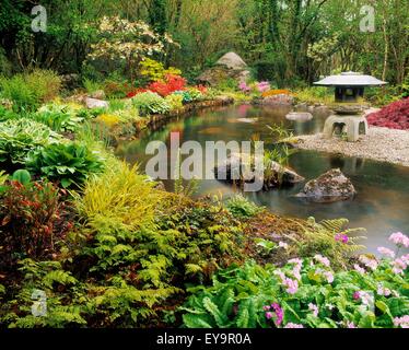 Laterne und Pool, japanischer Garten, Ardcarrig, Co. Galway, Irland Stockfoto