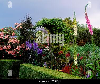 Rose Arch, Fingerhut und Rittersporn, Sandford Road, Dublin, Irland Stockfoto