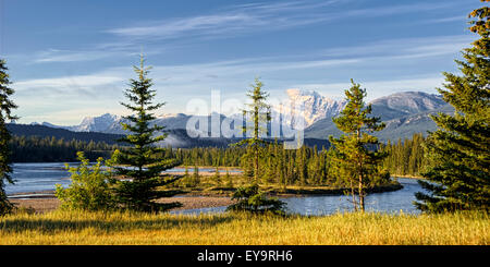 Szene des Icefield parkway Stockfoto