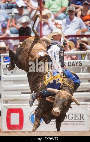 Cheyenne, Wyoming, USA. 24. Juli 2015. Bull Rider Tyler Smith hält an Hey Knospen im Cheyenne Frontier Days Rodeo in Frontier Park Arena 24. Juli 2015 in Cheyenne, Wyoming. Frontier Days feiert die Cowboy Traditionen des Westens mit einem Rodeo, Parade und Fair. Stockfoto