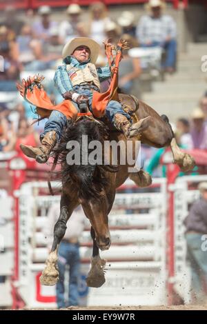 Cheyenne, Wyoming, USA. 24. Juli 2015. Bareback Reiter Tyler Walzer hängt an Nine Tails im Cheyenne Frontier Days Rodeo in Frontier Park Arena 24. Juli 2015 in Cheyenne, Wyoming. Frontier Days feiert die Cowboy Traditionen des Westens mit einem Rodeo, Parade und Fair. Stockfoto