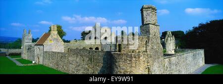 Boyle Abbey, Co Roscommon, Irland; Abtei aus dem 13. Jahrhundert Stockfoto